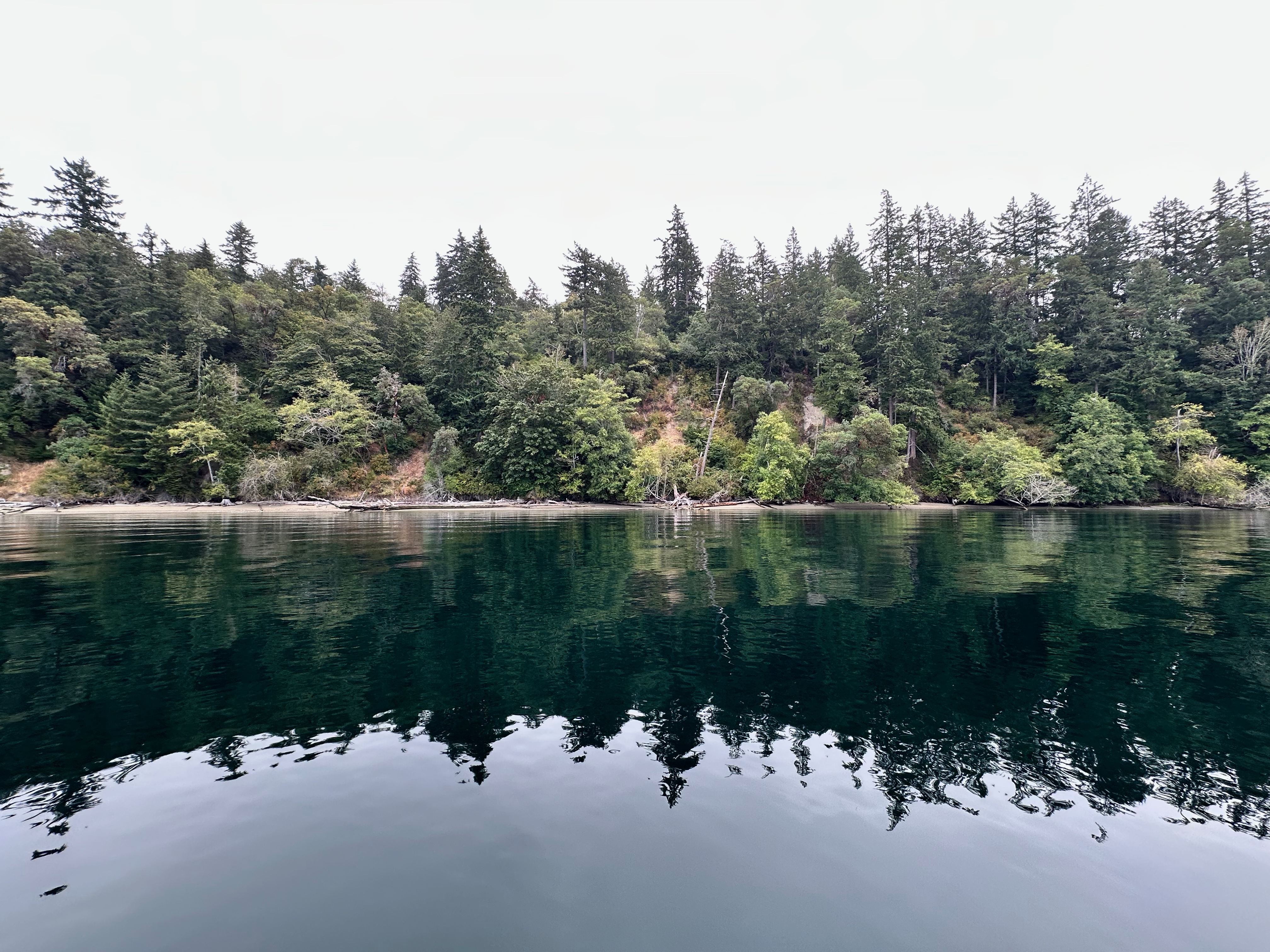 Forested shoreline reflected in calm water at Blake Island