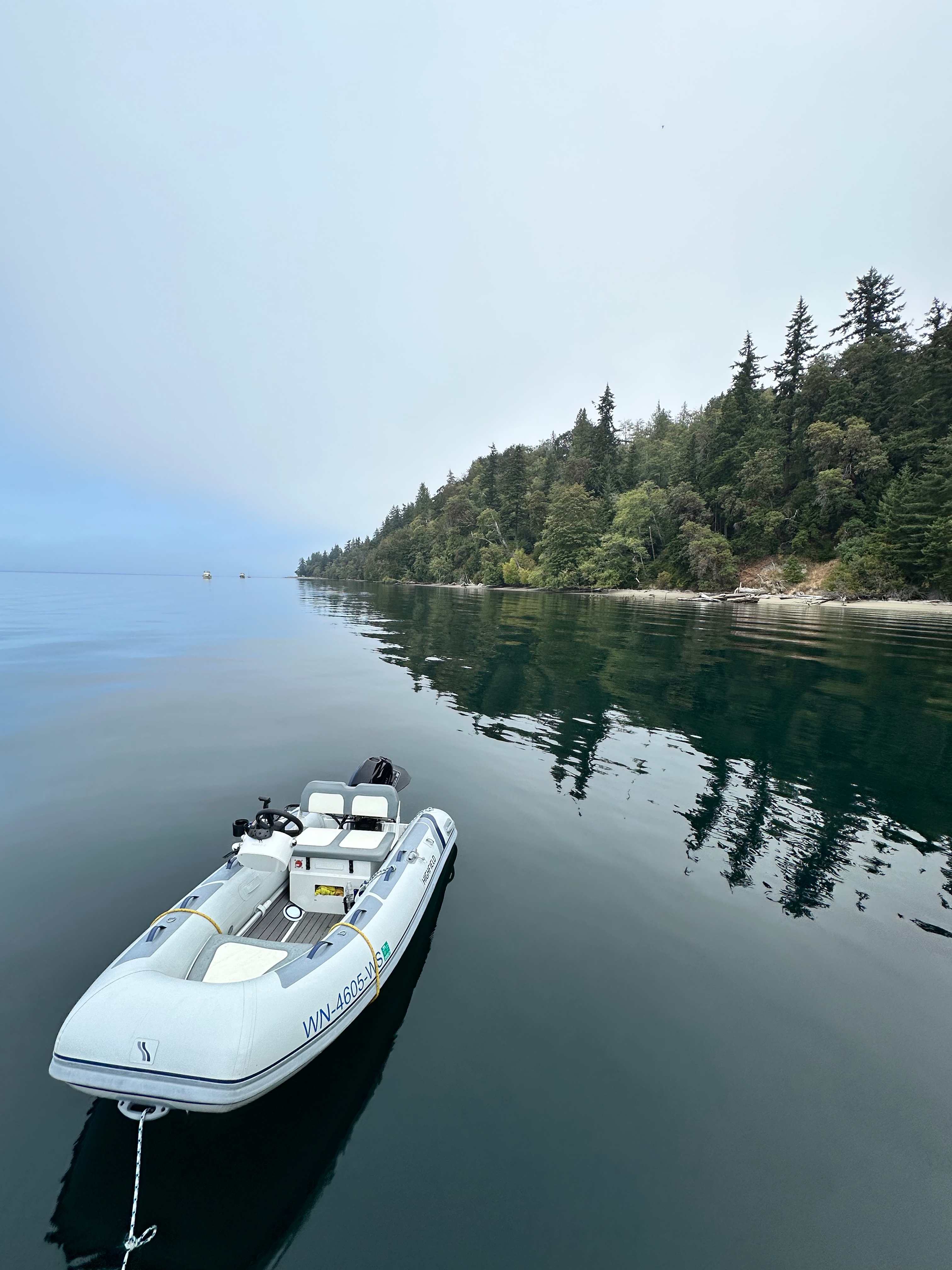 Dinghy floating beside the forested shoreline at Blake Island