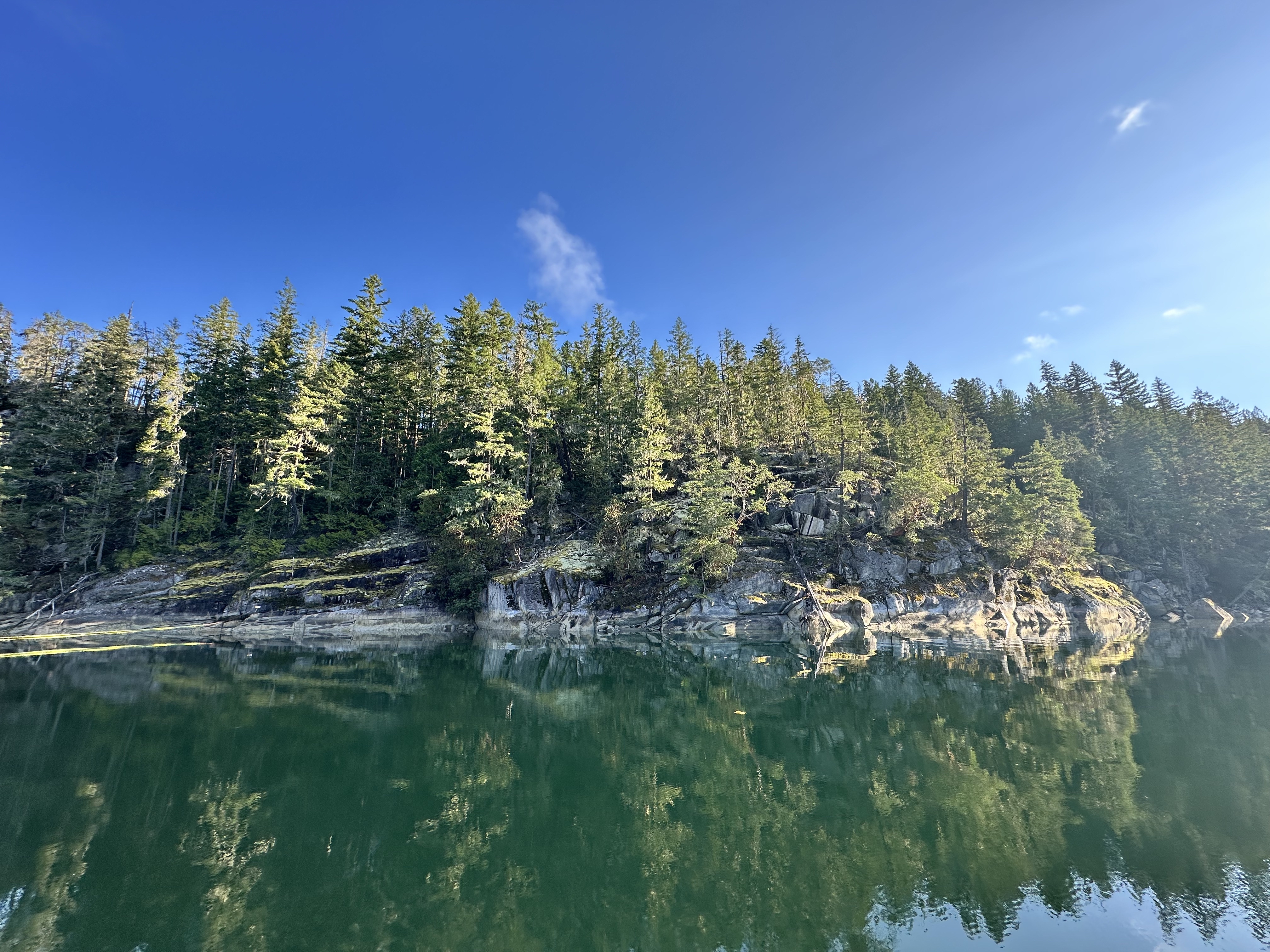 Forested shoreline reflected in Melanie Cove