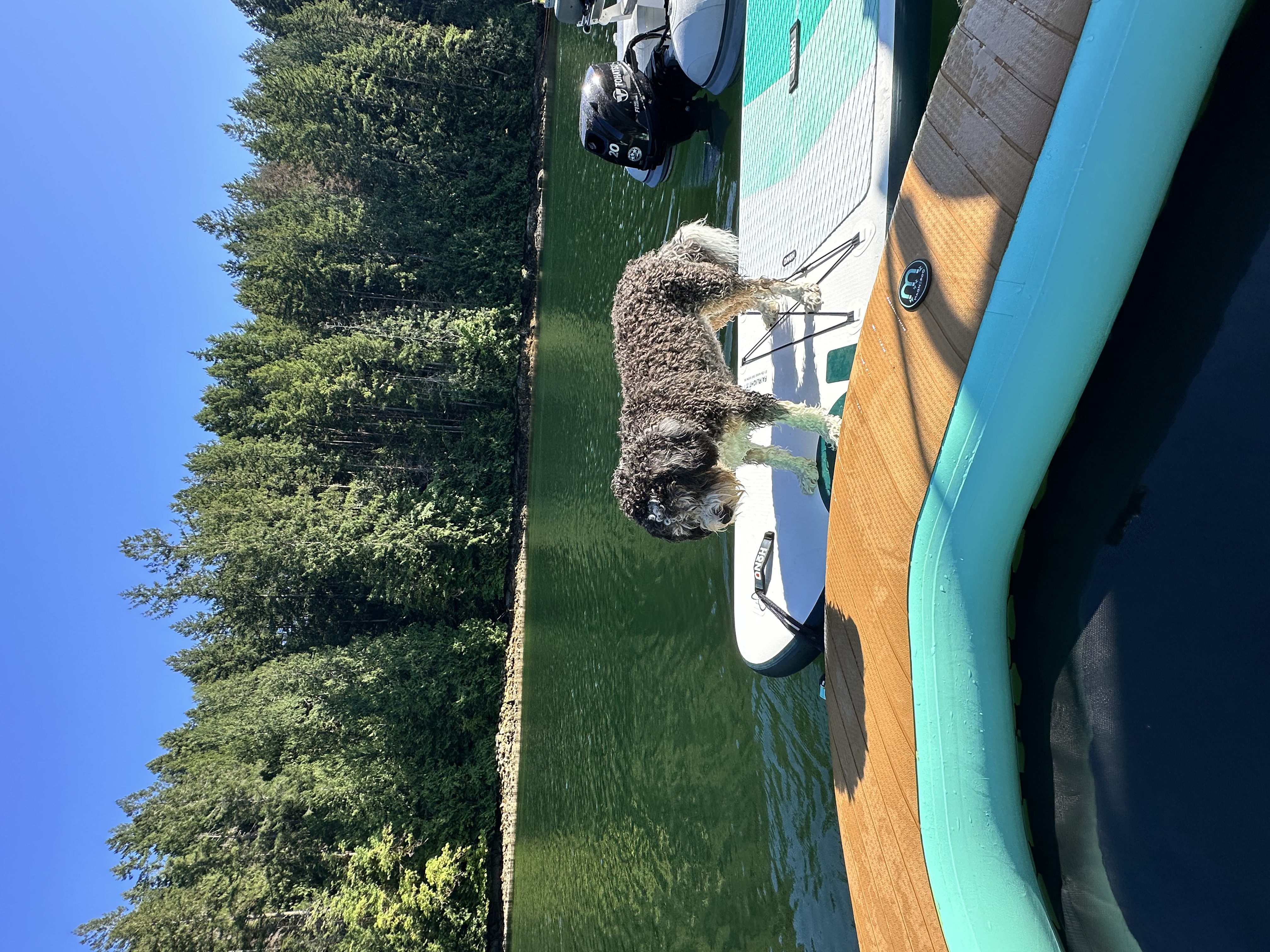 Playtime in Melanie Cove