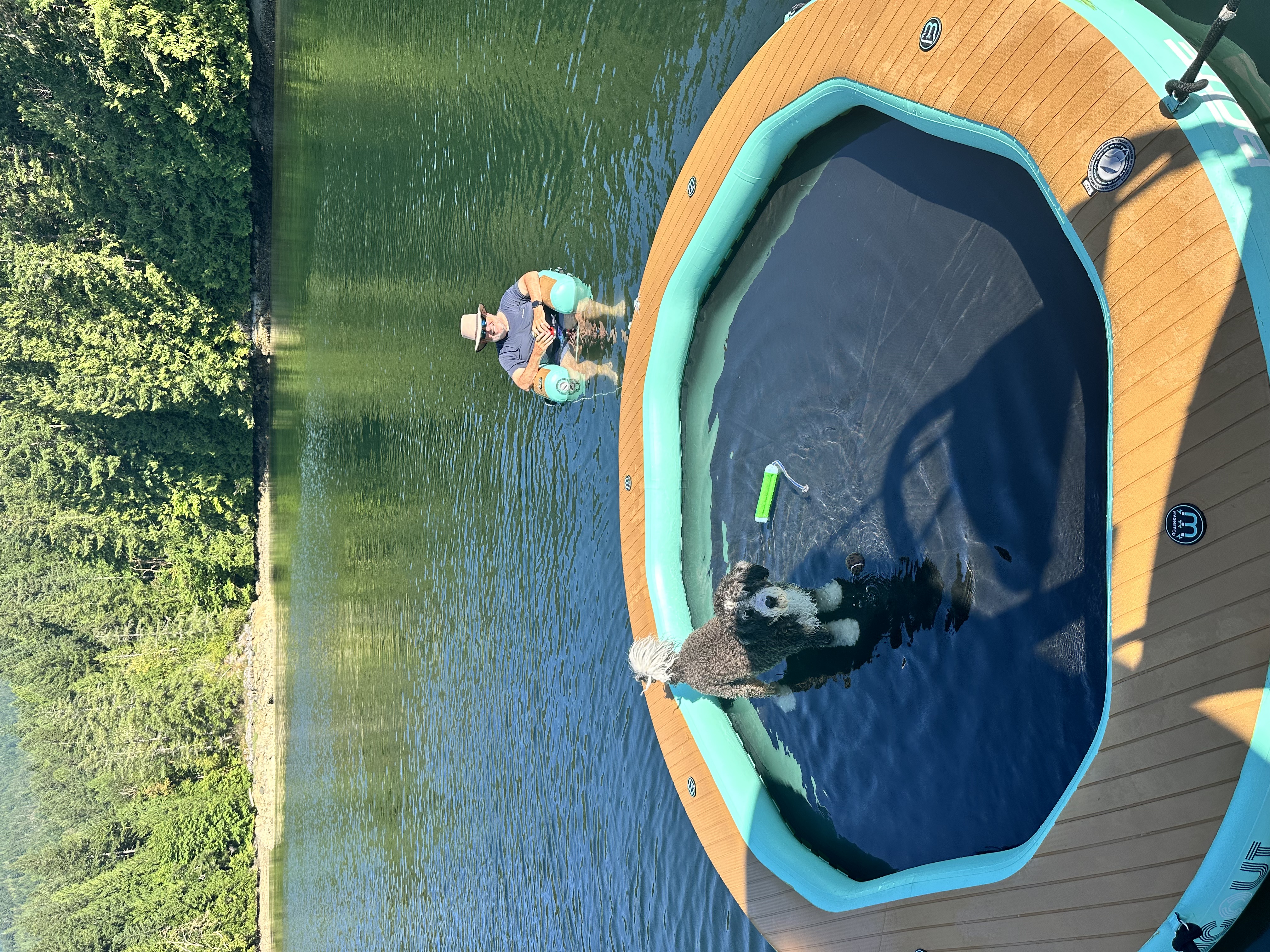 Playtime in Melanie Cove