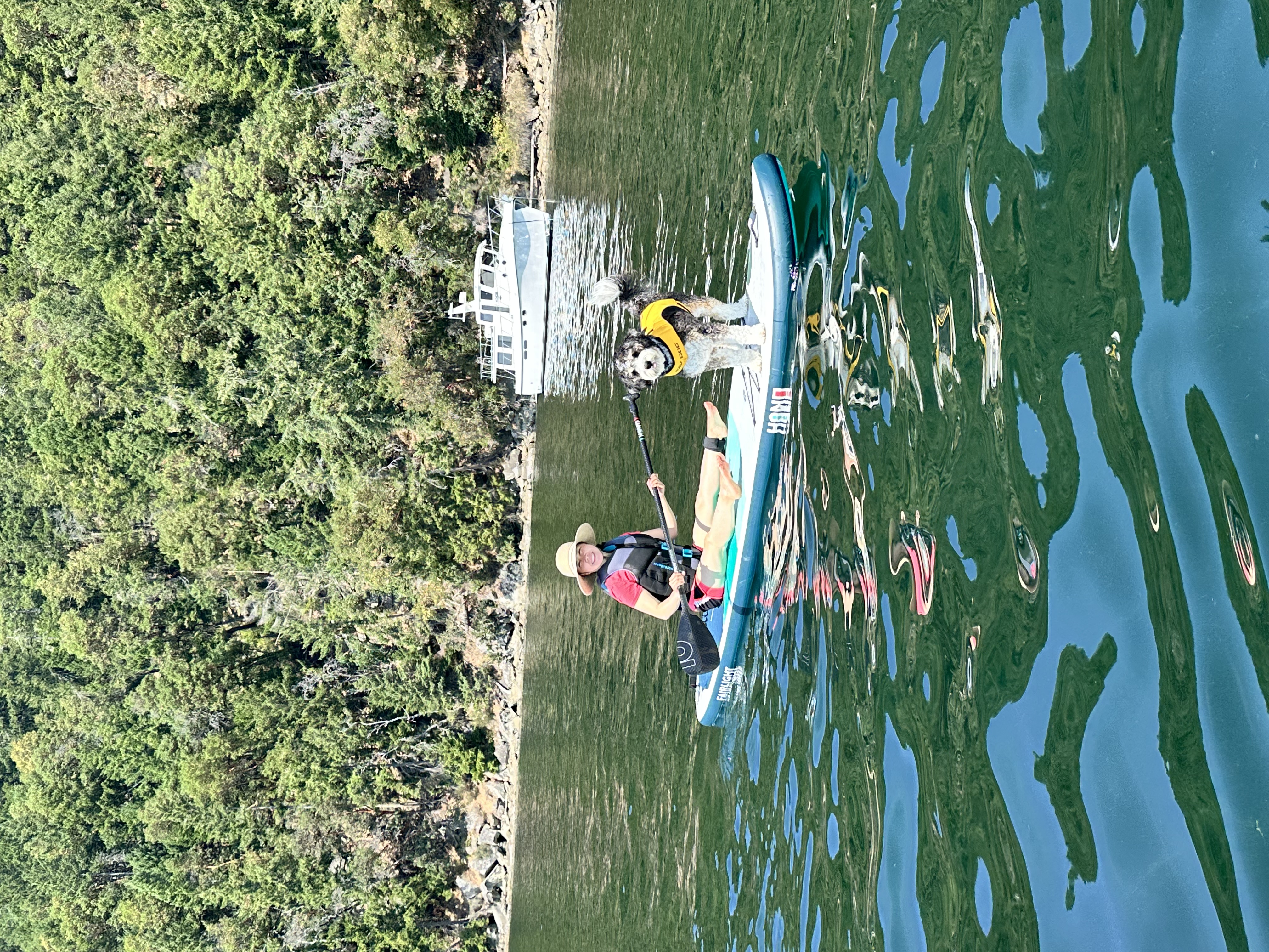 Paddleboarding with Shadow at Montague Harbour North