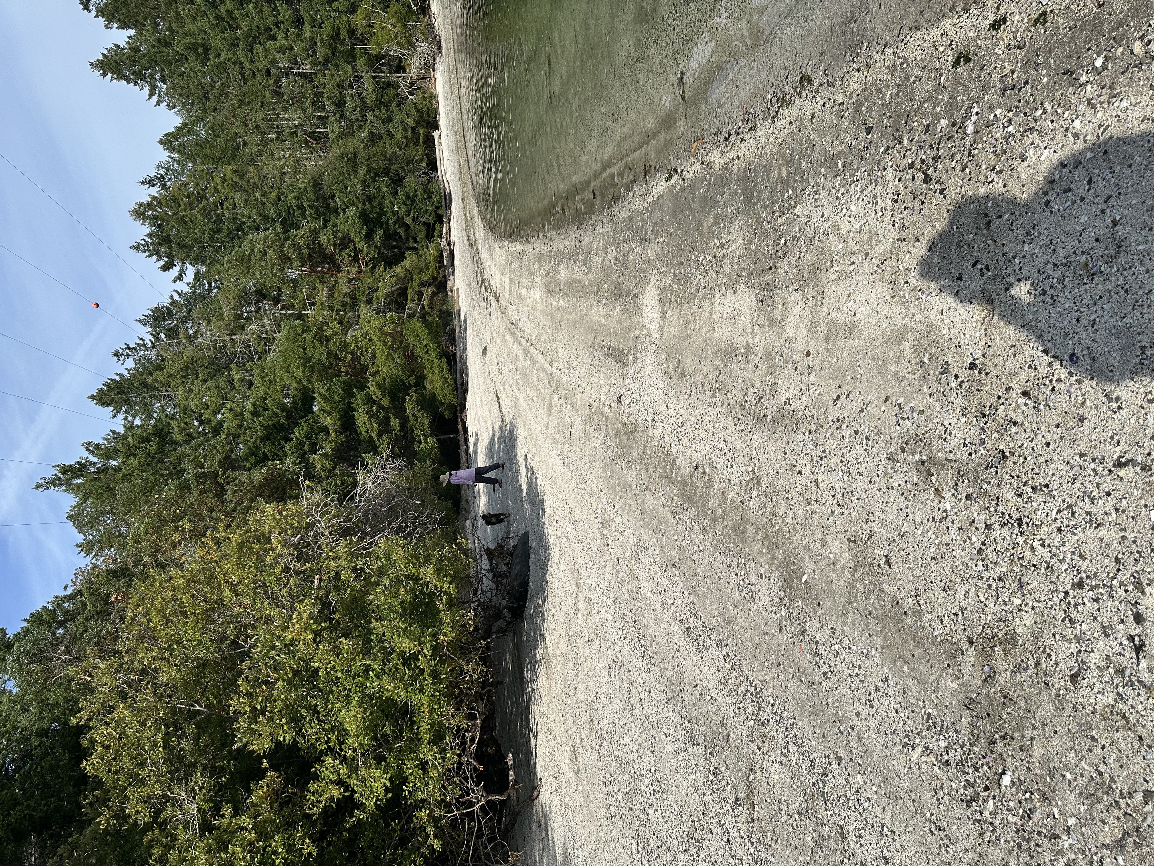 Shell beach at Montague Harbour North