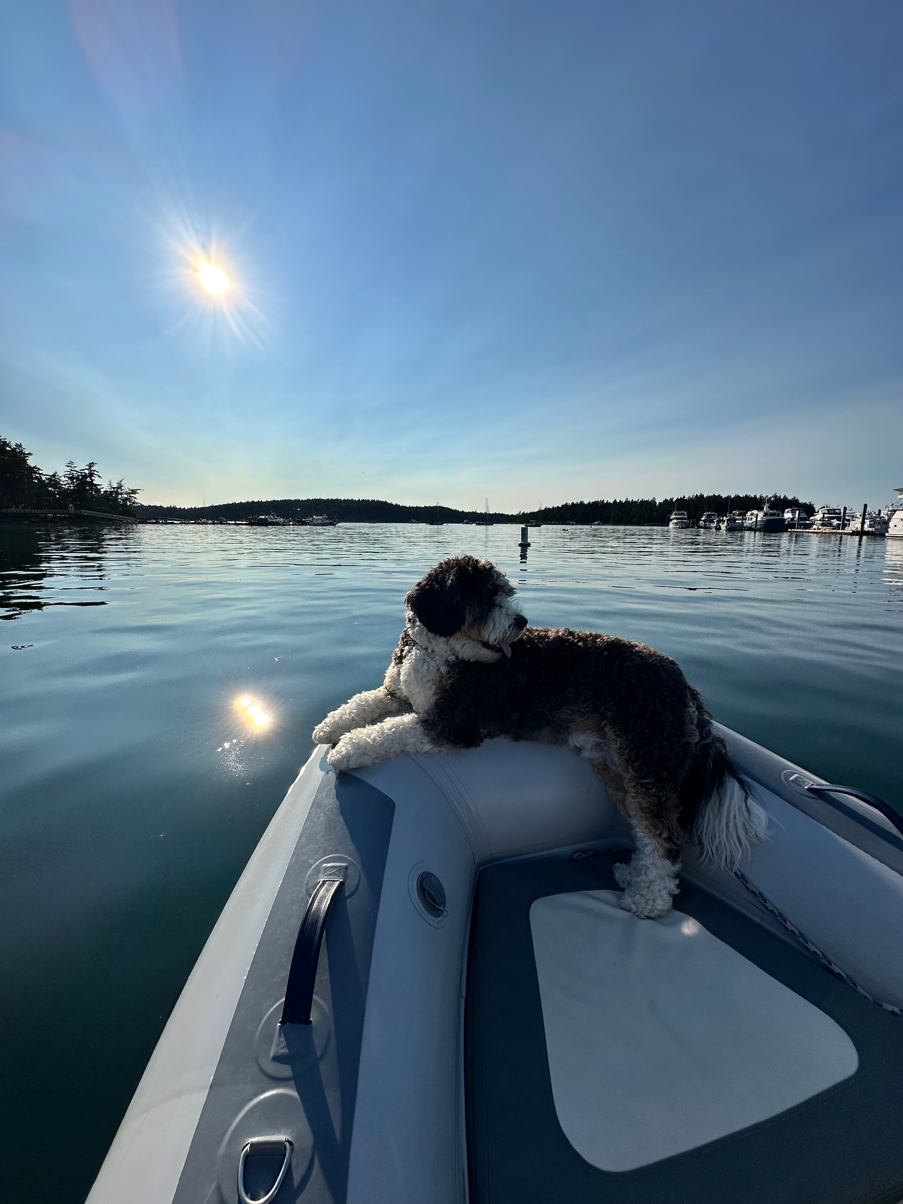 Pender Harbour shoreline and calm water