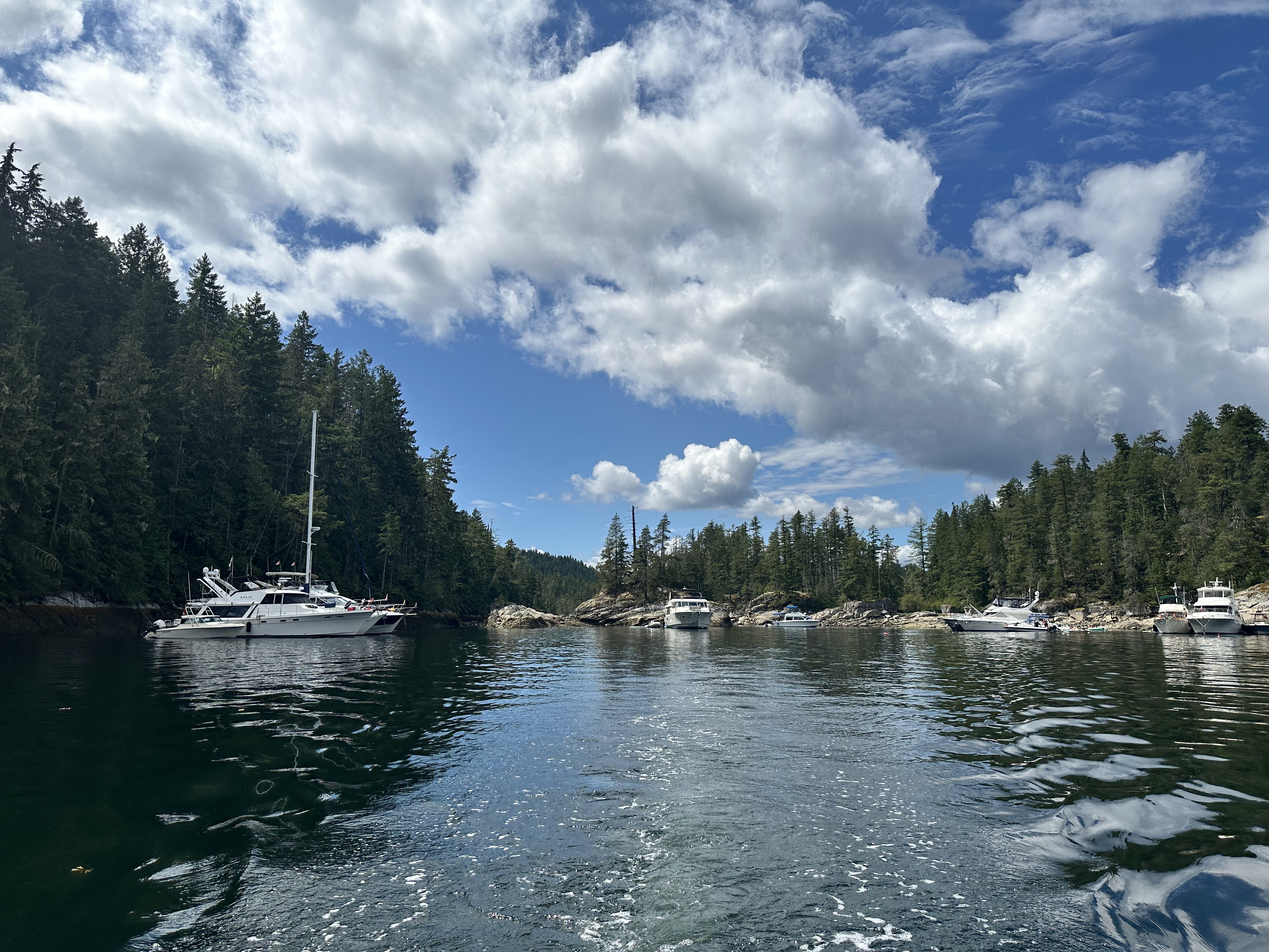 Boats anchored in Prideaux Haven
