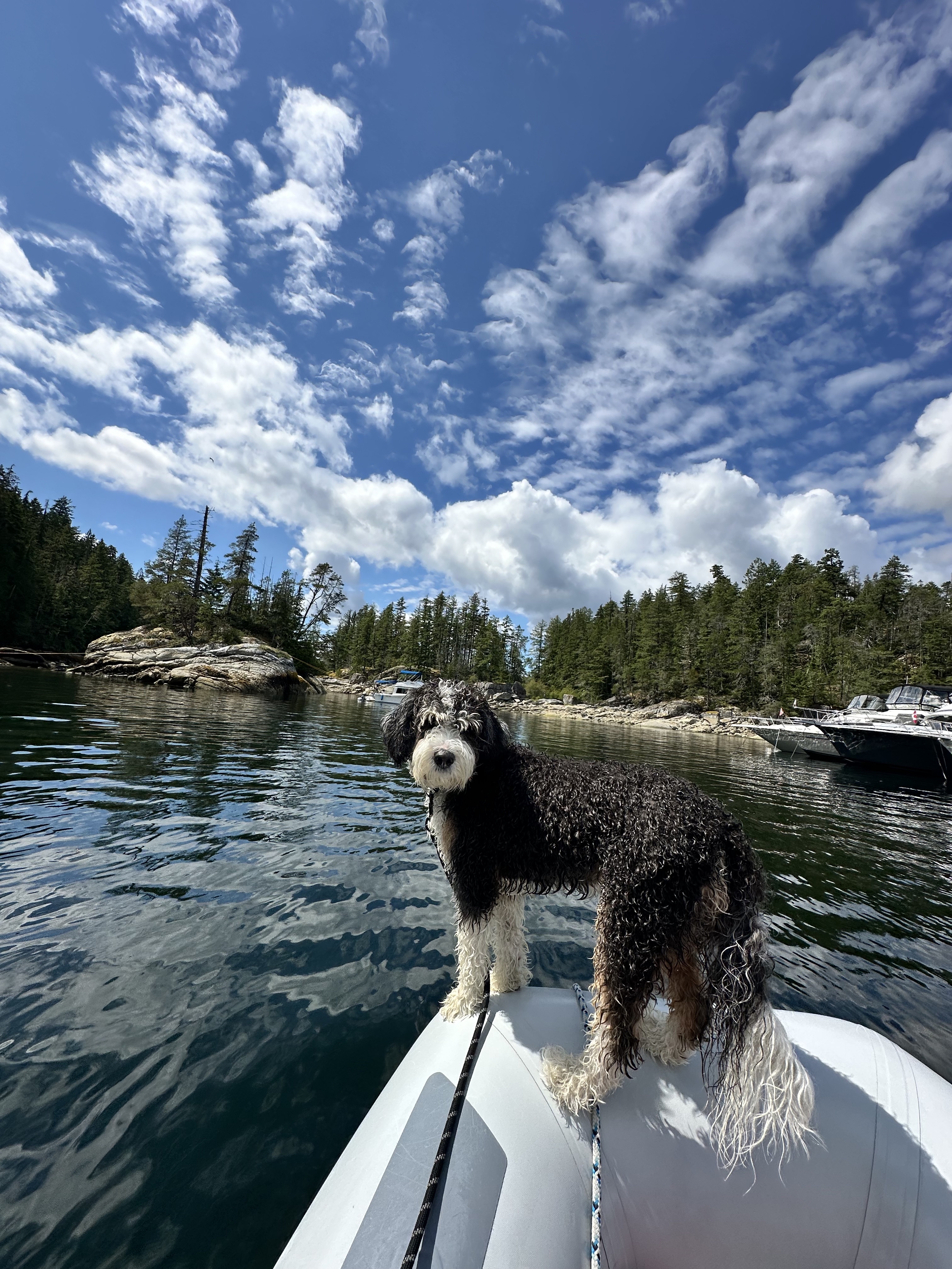 Shadow standing in the dinghy in Prideaux Haven