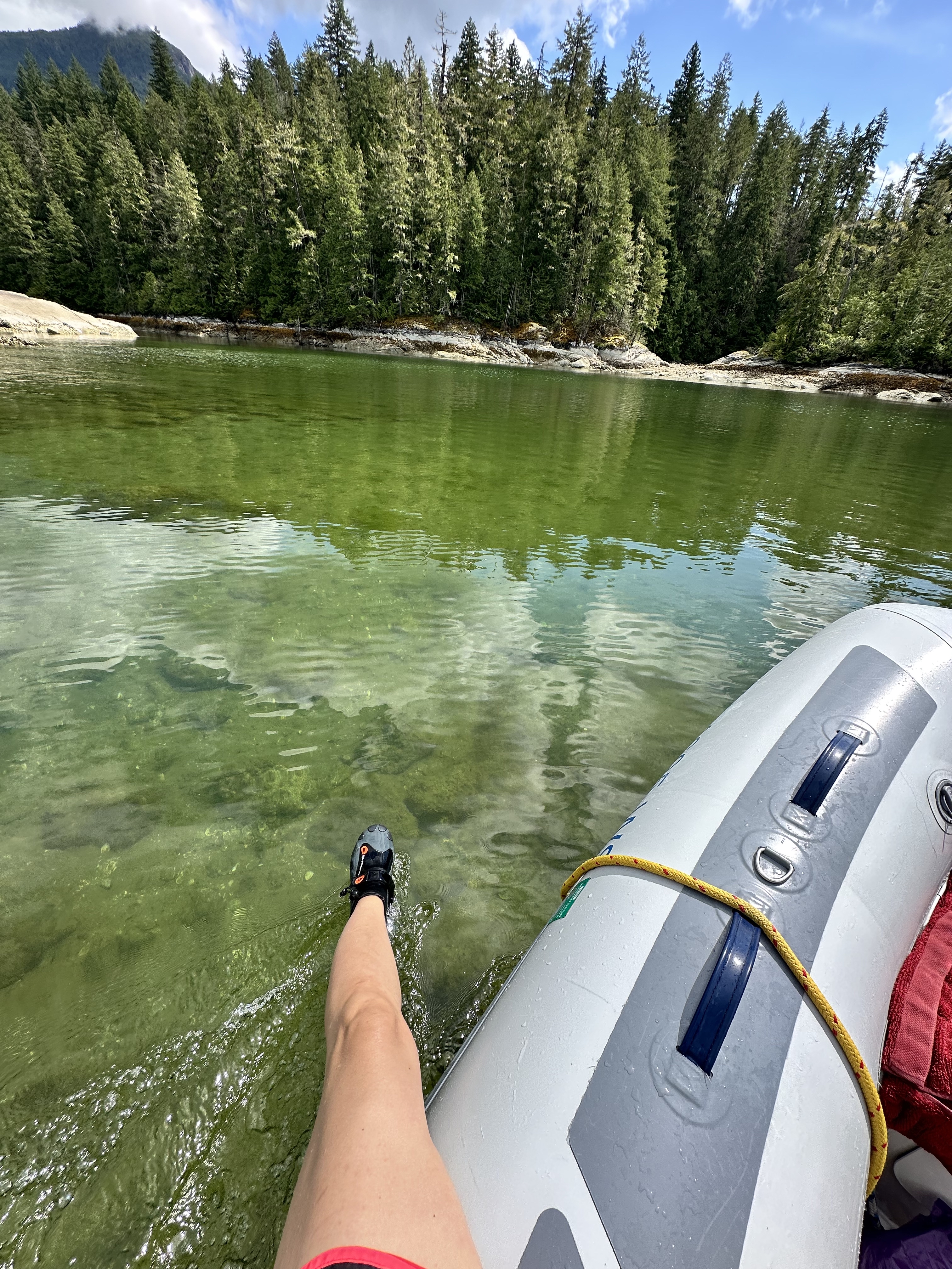 Warm shallow green water explored by dinghy in Prideaux Haven