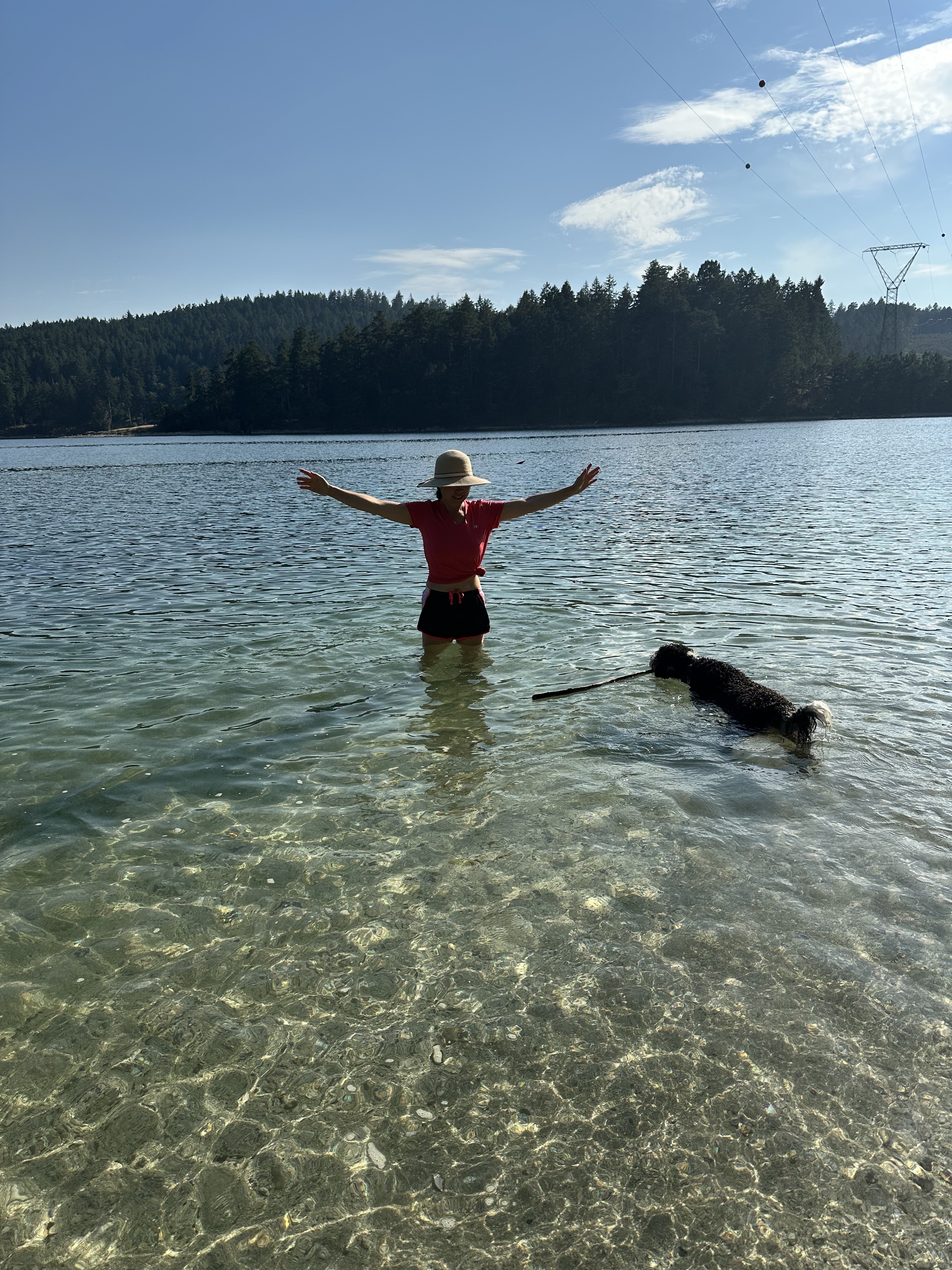 Yinglan and Shadow wading together in the clear water at Montague Harbour